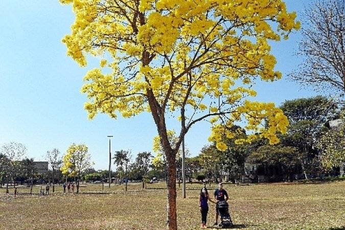  (crédito: ED ALVES/CB/D.A Press - 4/8/20)