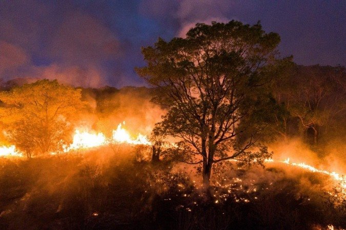 Fogo no Pantanal já dura mais de 40 dias e consumiu cerca de 15% do bioma - (crédito: Ibere PERISSE / Projeto Solos / AFP) Fogo no Pantanal já dura mais de 40 dias e consumiu cerca de 15% do bioma - (crédito: Ibere PERISSE / Projeto Solos / AFP)