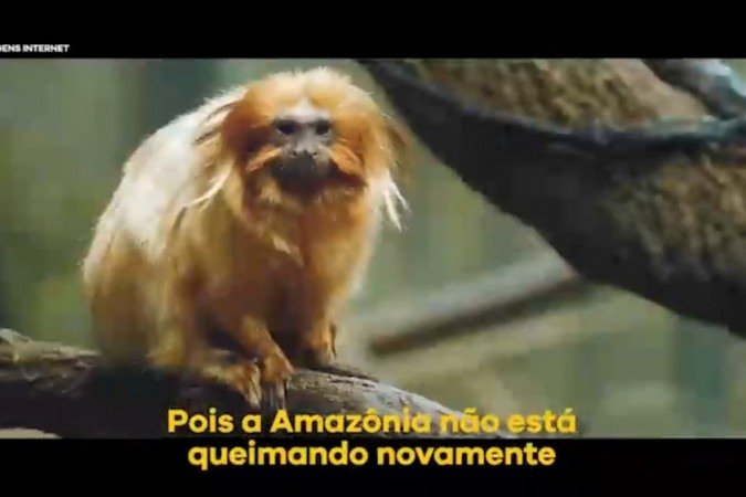 (foto: Reprodução/Twitter) (foto: Reprodução/Twitter)