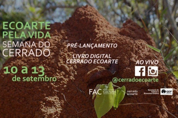 O evento ocorre entre 10 e 13 de setembro. - (foto: CerradoEcoarte/Divulgação) O evento ocorre entre 10 e 13 de setembro. - (foto: CerradoEcoarte/Divulgação)