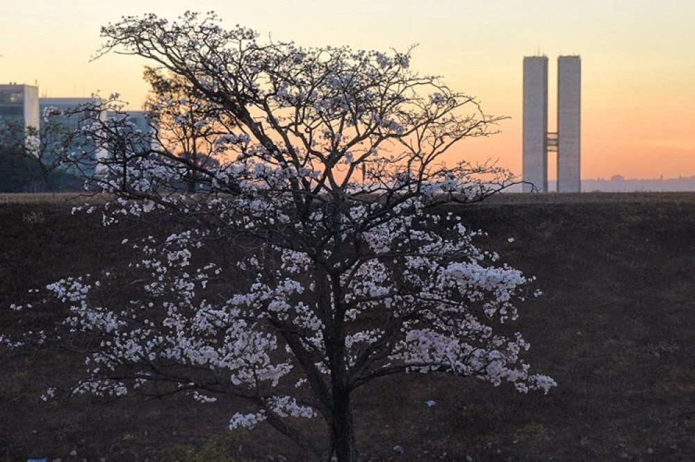 Frio: Setembro começa com temperatura mínima de 11ºC nesta quinta (1º/9)