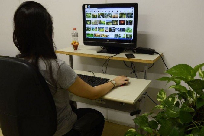 Trabalho remoto funciona melhor para determinados perfis e está atrelado à flexibilidade de cada emprego - (crédito: Marcelo Ferreira/CB/D.A Press) Trabalho remoto funciona melhor para determinados perfis e está atrelado à flexibilidade de cada emprego - (crédito: Marcelo Ferreira/CB/D.A Press)