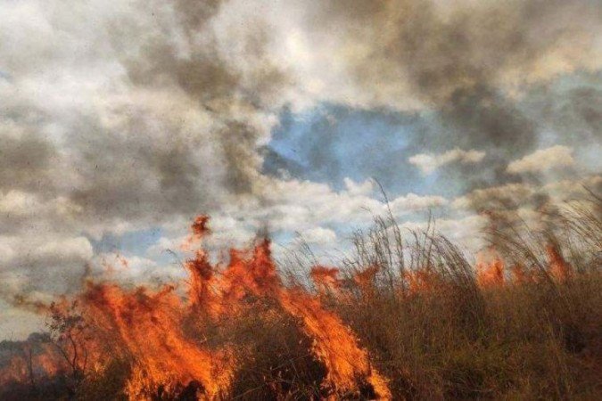 Incêndios florestais castigam o Cerrado em meio à seca do Distrito Federal - (crédito: CBMDF/Divulgação) Incêndios florestais castigam o Cerrado em meio à seca do Distrito Federal - (crédito: CBMDF/Divulgação)