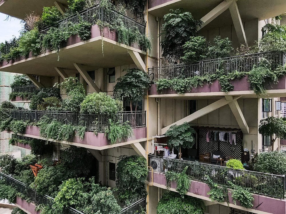 residentes olhando de uma varanda coberta de plantas em seu apartamento em uma comunidade residencial em Chengdu, na província de Sichuan, no sudoeste da China. Um projeto experimental de habitação verde na cidade de Chengdu, no sudoeste da China, parece ter sido invadido por suas próprias fábricas, com a mídia estatal relatando que apenas um punhado de compradores se mudou.