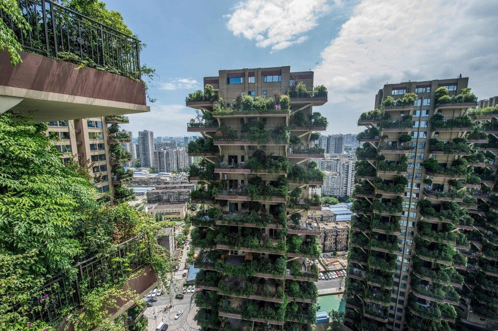 residentes olhando de uma varanda coberta de plantas em seu apartamento em uma comunidade residencial em Chengdu, na província de Sichuan, no sudoeste da China. Um projeto experimental de habitação verde na cidade de Chengdu, no sudoeste da China, parece ter sido invadido por suas próprias fábricas, com a mídia estatal relatando que apenas um punhado de compradores se mudou.