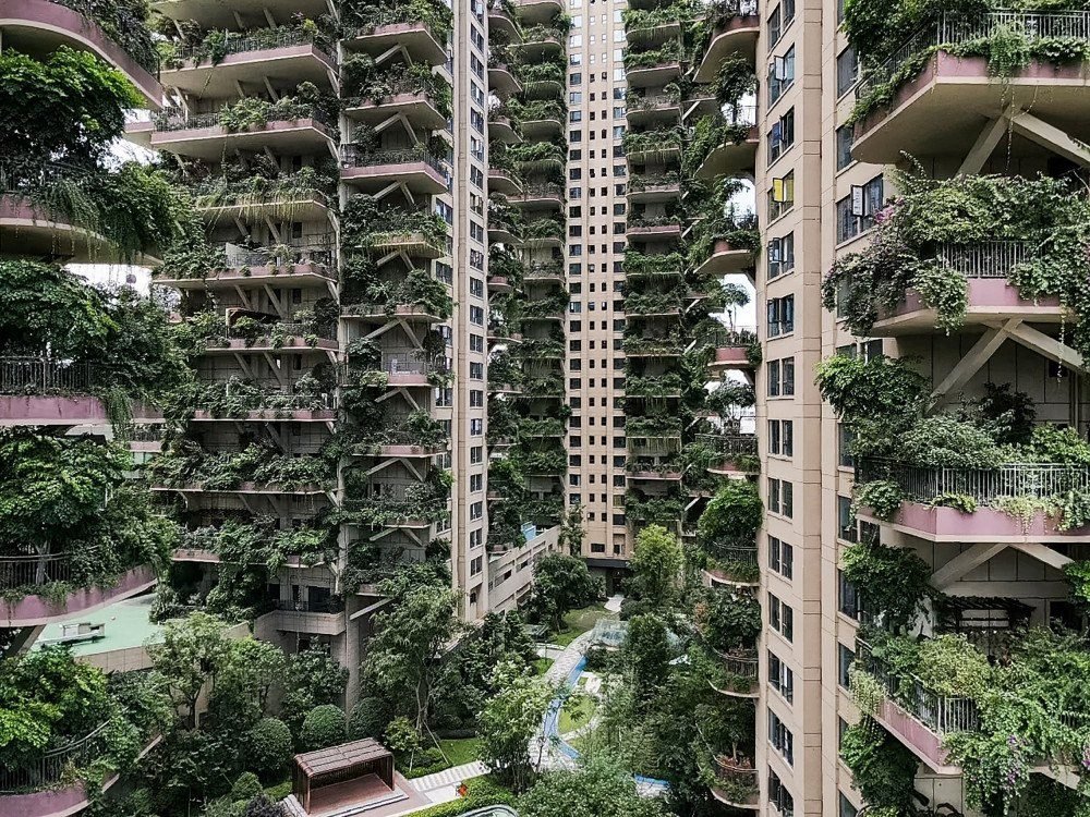 residentes olhando de uma varanda coberta de plantas em seu apartamento em uma comunidade residencial em Chengdu, na província de Sichuan, no sudoeste da China. Um projeto experimental de habitação verde na cidade de Chengdu, no sudoeste da China, parece ter sido invadido por suas próprias fábricas, com a mídia estatal relatando que apenas um punhado de compradores se mudou.