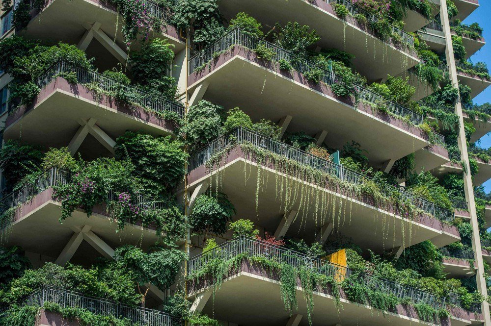 residentes olhando de uma varanda coberta de plantas em seu apartamento em uma comunidade residencial em Chengdu, na província de Sichuan, no sudoeste da China. Um projeto experimental de habitação verde na cidade de Chengdu, no sudoeste da China, parece ter sido invadido por suas próprias fábricas, com a mídia estatal relatando que apenas um punhado de compradores se mudou.