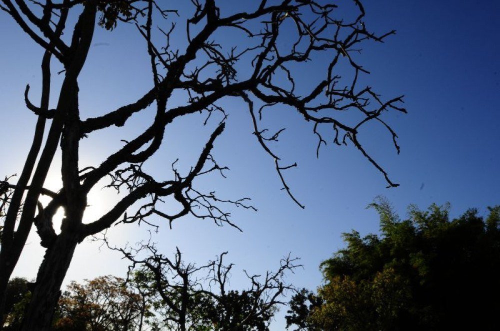 2020 já é o nono ano mais quente da história da capital federal e completa 115 dias sem chuva, nesta quinta-feira