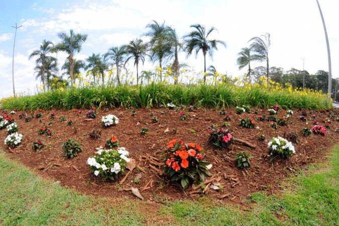 A Novacap vai pedir ajuda ao DER para identificar os criminosos. - (crédito: Paulo H Carvalho/Novacap) A Novacap vai pedir ajuda ao DER para identificar os criminosos. - (crédito: Paulo H Carvalho/Novacap)