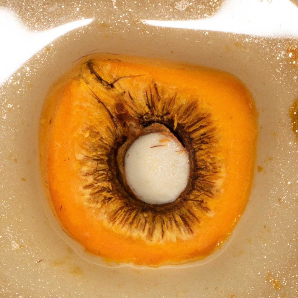 Capa do álbum 'Interior' da banda Carne Doce