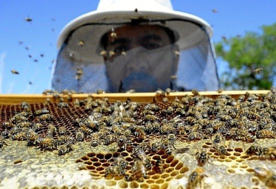 Marcelo Ferreira/CB/D.A Press