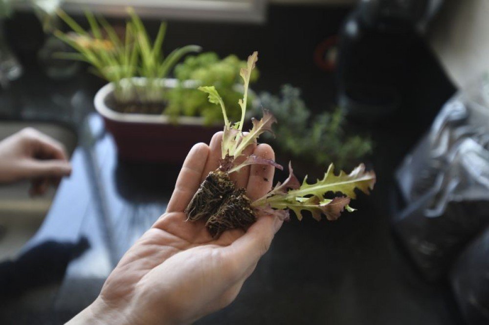 Produção de resíduos em casa e no condomínio Le clube em Águas Claras Cássio Araújo engenheiro ambiental.