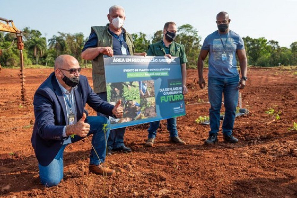 Infraero planta mudas nativas no aeroporto de Foz do Iguaçu