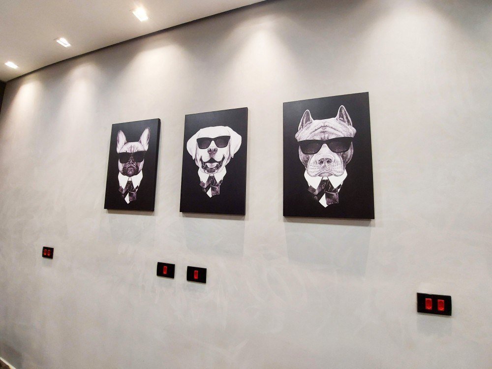 Cachorródromo, em São Paulo