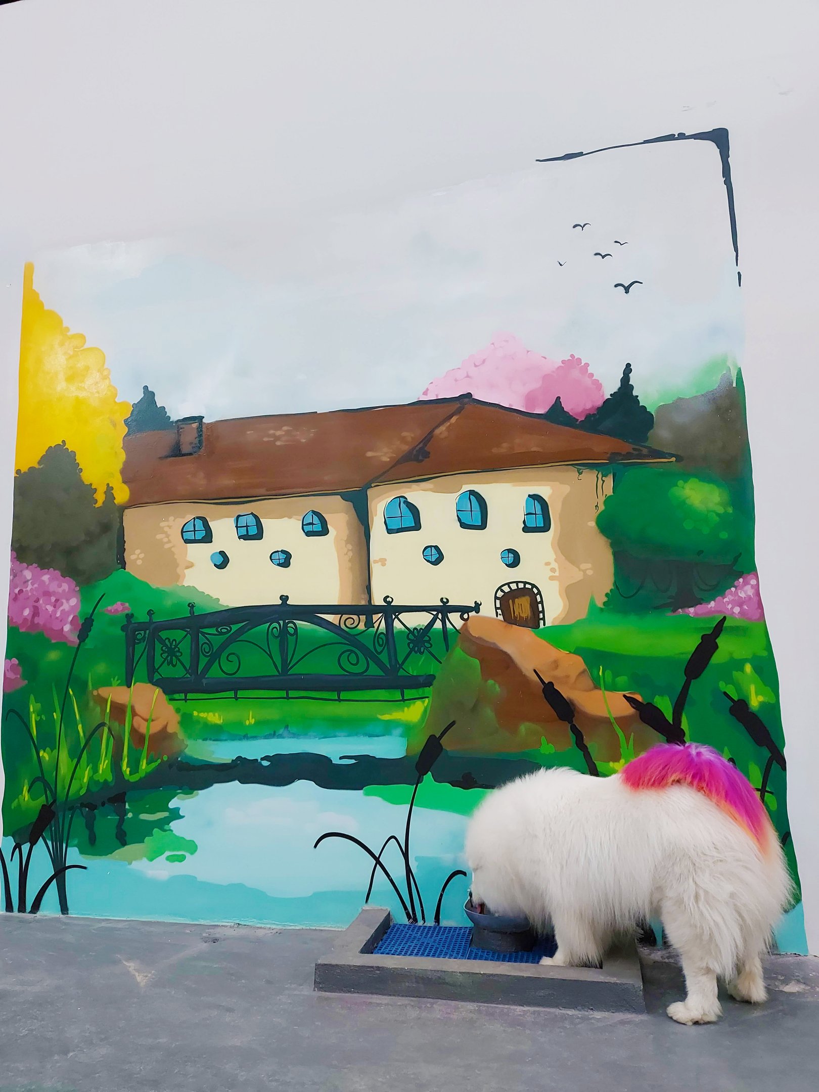 Cachorródromo, em São Paulo