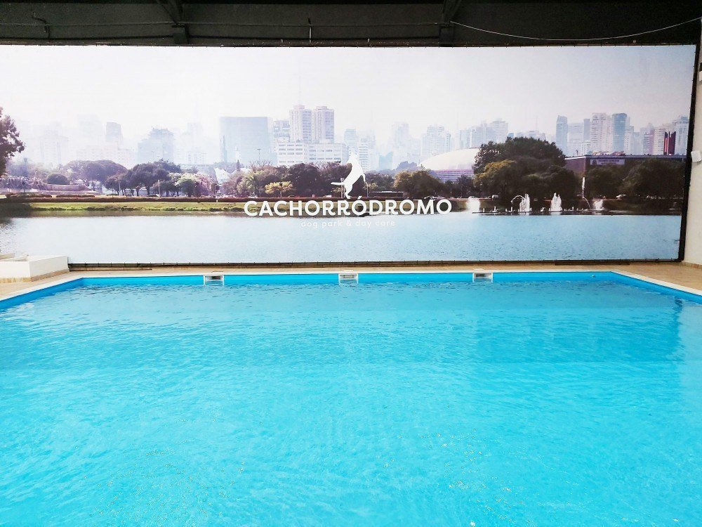 Cachorródromo, em São Paulo