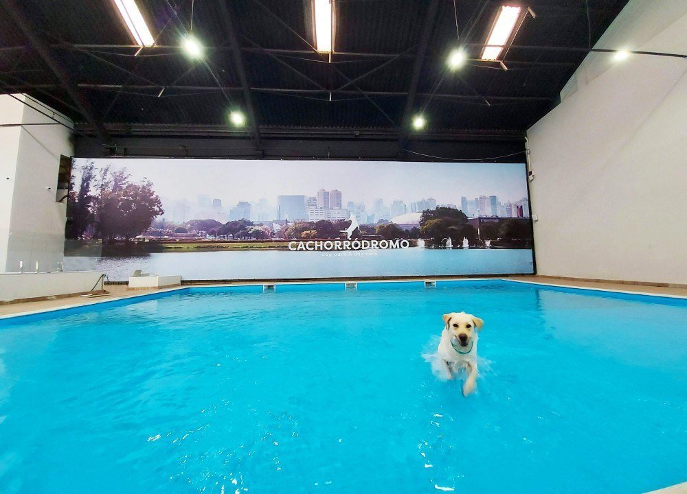 Cachorródromo, em São Paulo