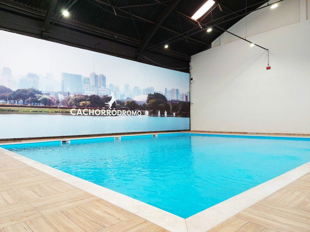 Cachorródromo, em São Paulo