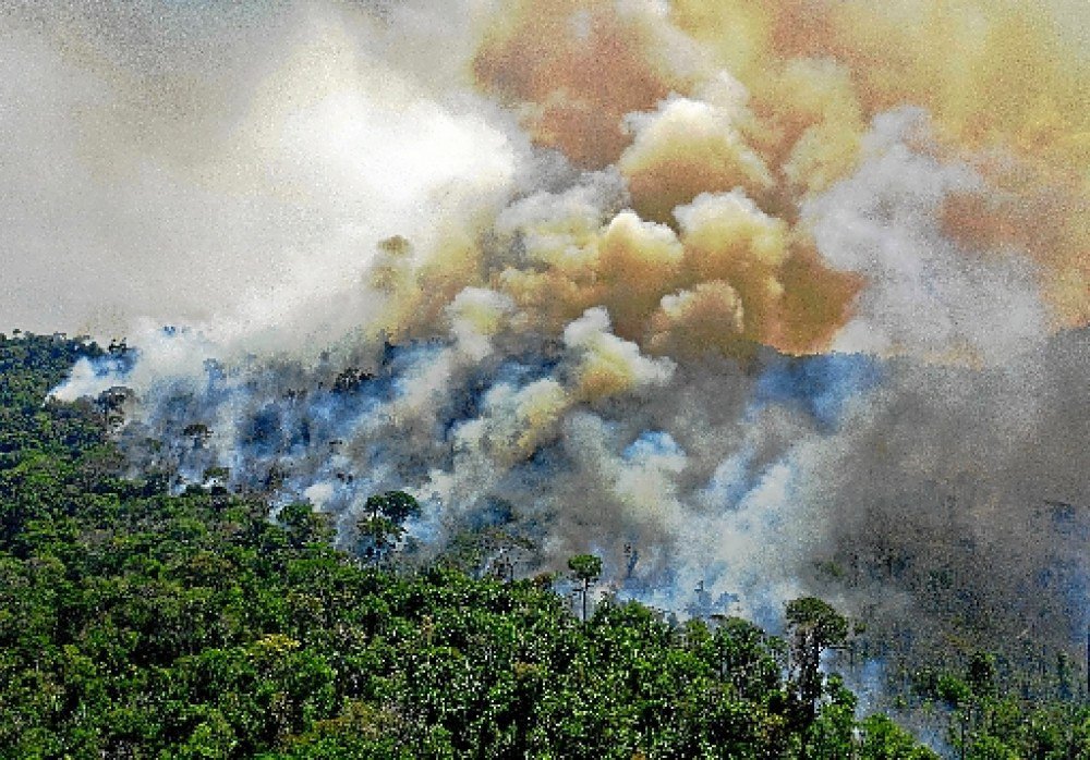 ONU cobra ação do Brasil para frear emissão de gases de efeito estufa