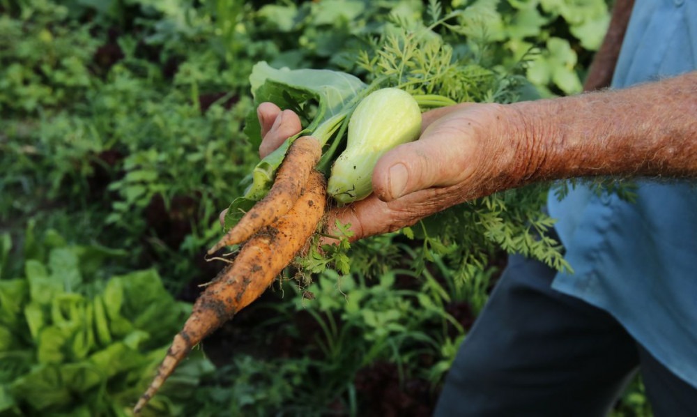 Governo repassa R$ 72,9 milhões a estados para a agricultura familiar