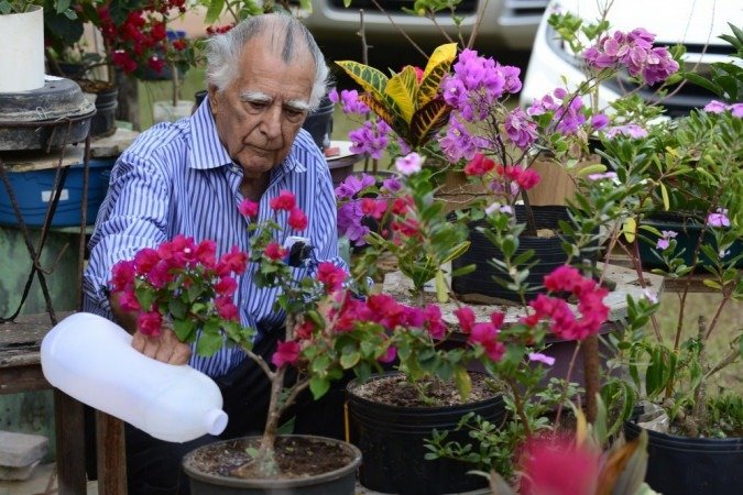 Gil Guimarães conta que, com os cuidados com as plantas, nem tem sentido o tempo passar durante a pandemia - (crédito: Carlos Vieira/CB/D.A Press ) Gil Guimarães conta que, com os cuidados com as plantas, nem tem sentido o tempo passar durante a pandemia - (crédito: Carlos Vieira/CB/D.A Press )