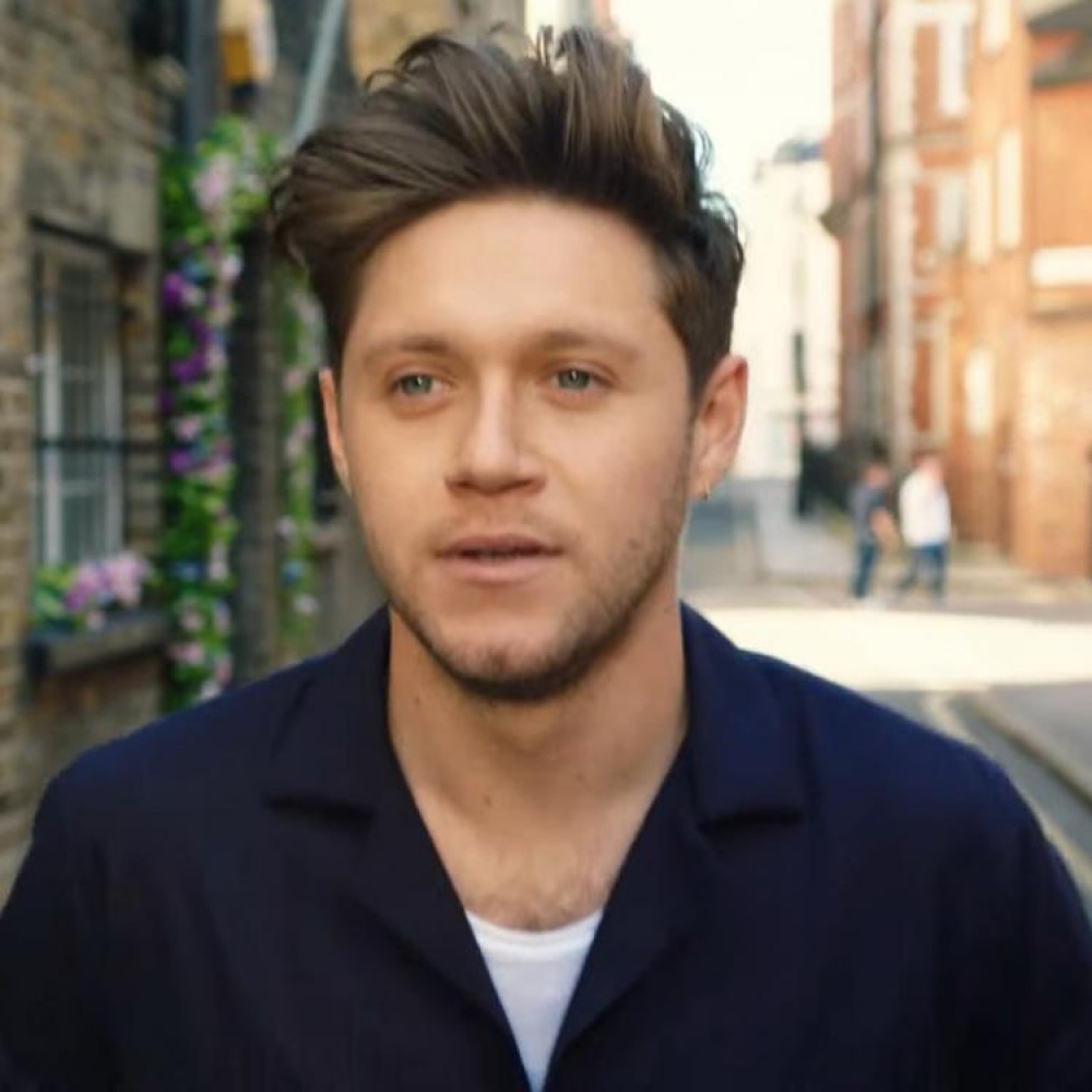 Niall Horan reivindica autoria de música usada por grupo k-pop