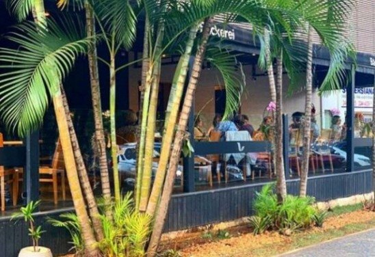 INSTAGRAM/REPRODUÇÃO