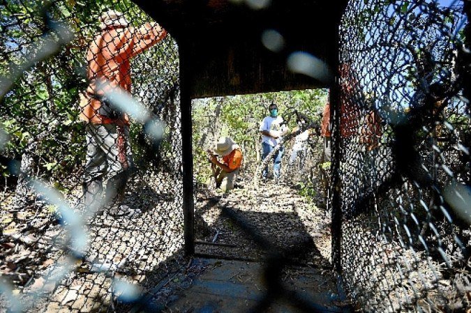  (crédito:                        Marcelo Ferreira/CB/D.A Press            )