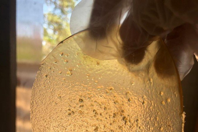 Bioplástico é produzido a partir da casca da laranja