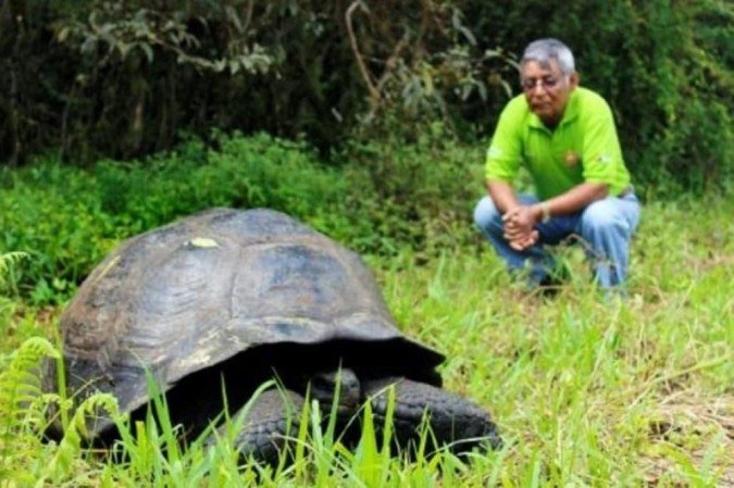 (crédito: Foto AFP) (crédito: Foto AFP)