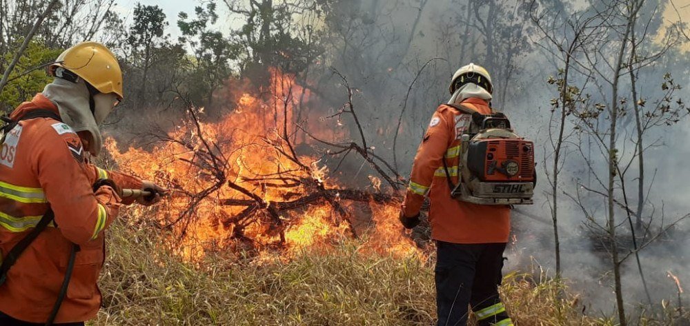 Bombeiros combatem incêndio florestal em área de proteção do Palácio do Jaburu nesta segunda-feira (28/9)
