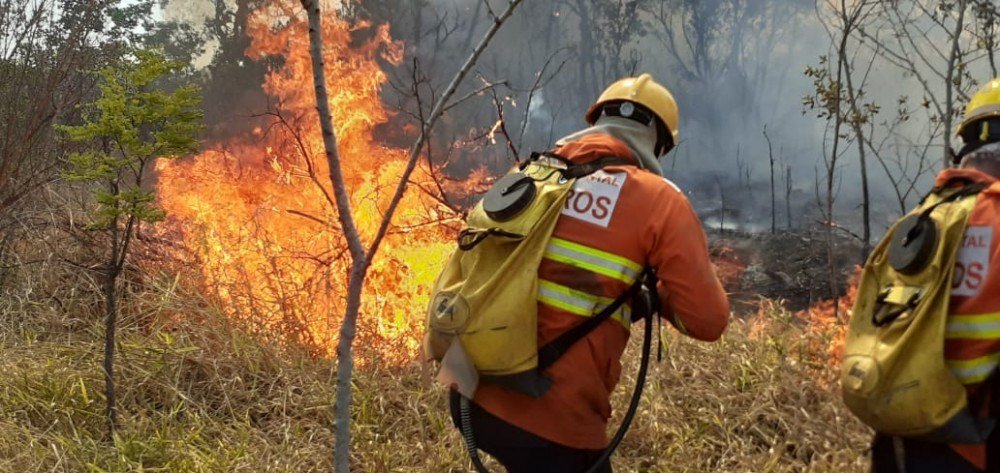 Vídeo: incêndio atinge vegetação no Palácio do Jaburu