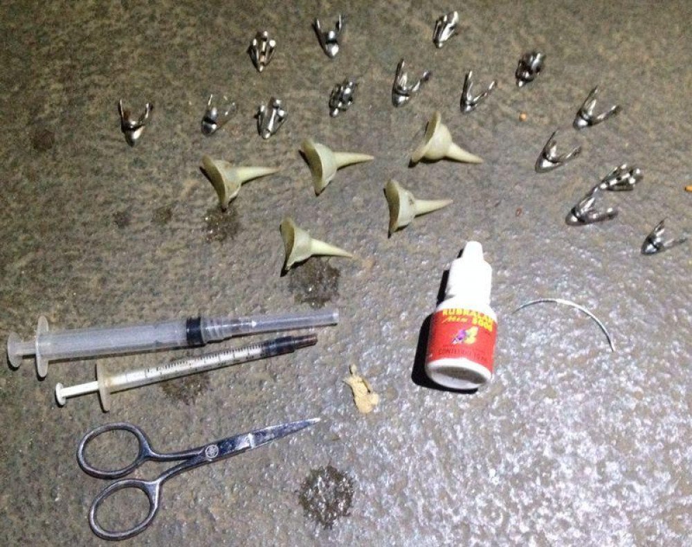 PCPR deflagra operação contra grupo que promovia rinhas de galo por todo o Brasil
