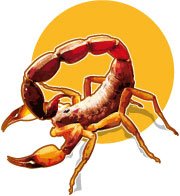 (crédito: Editoria de Arte) (crédito: Editoria de Arte)