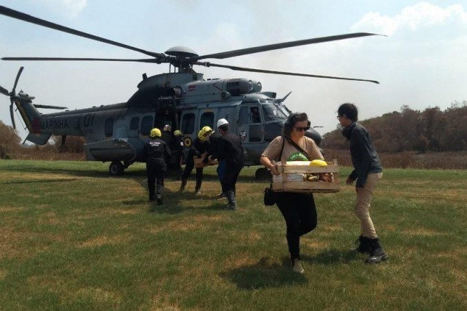 Grad reúne vários profissionais voluntários, que usarão a estrutura da Marinha para atuar no resgate aos animais - (crédito: Ministério da Defesa) Grad reúne vários profissionais voluntários, que usarão a estrutura da Marinha para atuar no resgate aos animais - (crédito: Ministério da Defesa)