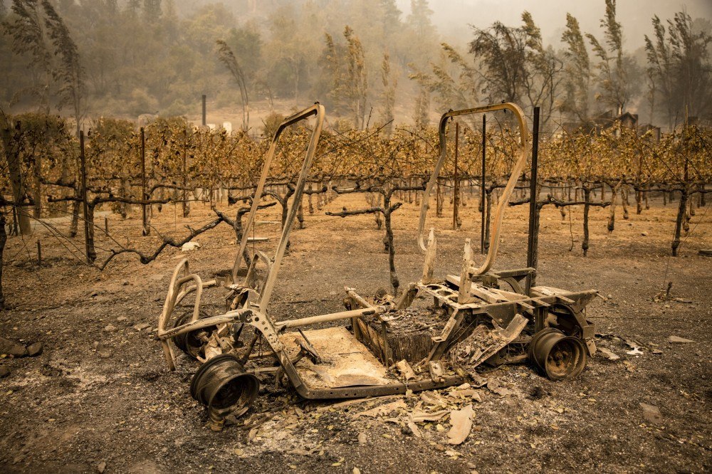 Paraíso vitivinícola é reduzido a cinzas por incêndios na Califórnia