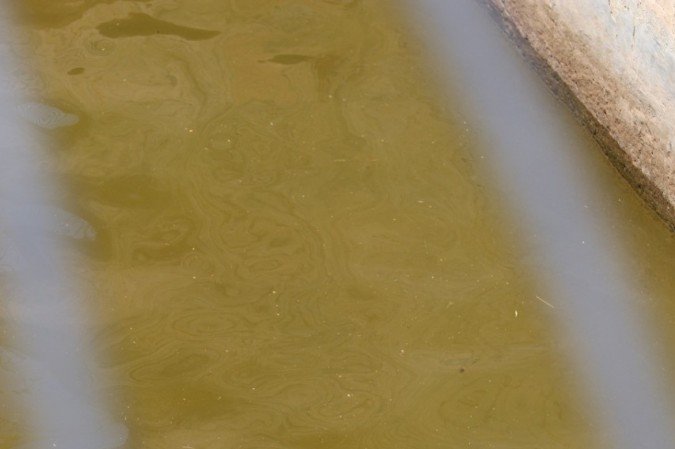 Mesmo com o calor, os brasilienses visitaram o Jardim Zoológico de Brasília, que estava fechado há seis meses