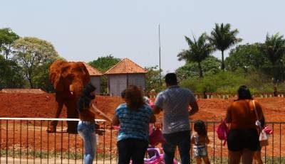  (crédito: Ana Rayssa/CB/D.A Press)