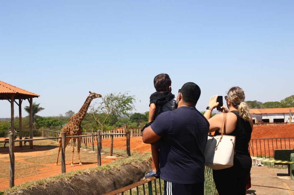 Zoo de Brasília pede renovação de licença de operações ao Ibram