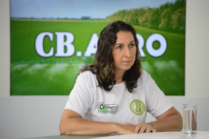 (crédito: Marcelo Ferreira/CB/D.A Press ) (crédito: Marcelo Ferreira/CB/D.A Press )