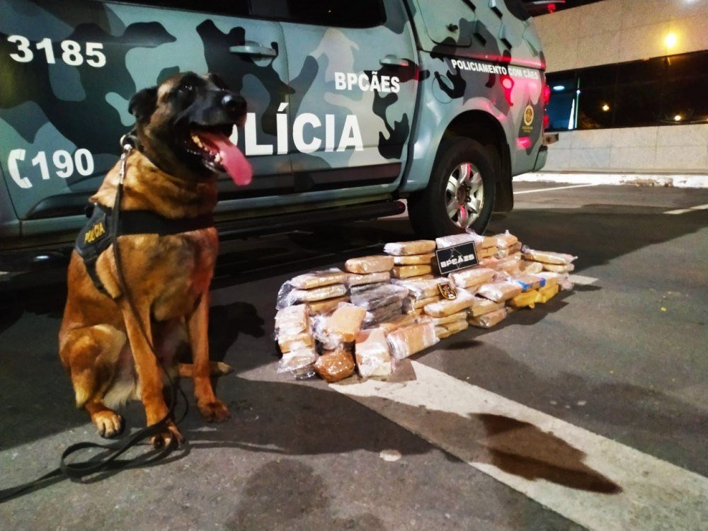 Cão policial fareja 83 tabletes de maconha dentro de malas