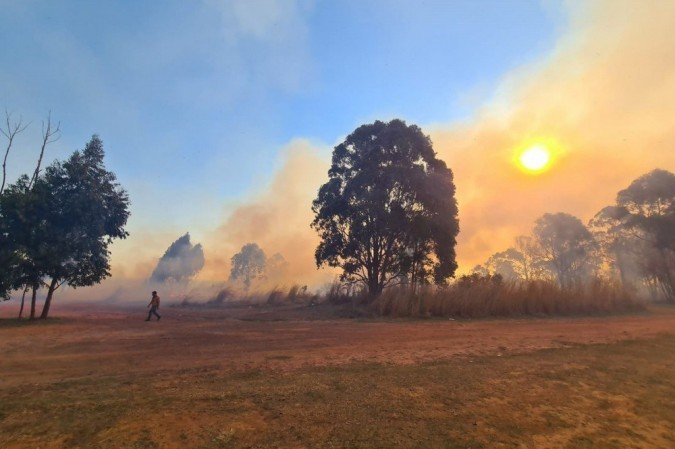 Incêndio atingiu vegetação próxima à Torre de TV Digital - (crédito: Divulgação/CBMDF) Incêndio atingiu vegetação próxima à Torre de TV Digital - (crédito: Divulgação/CBMDF)