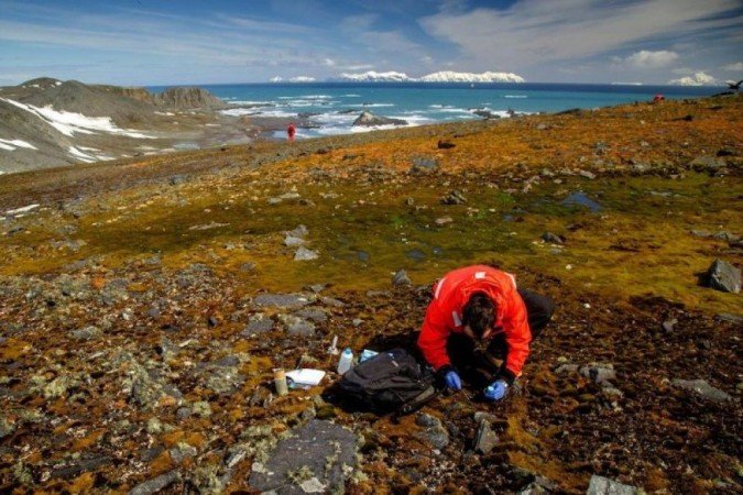  (crédito: Arquivo Pessoal)