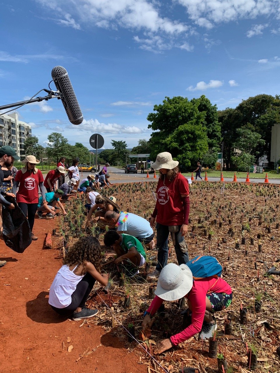 A semente do projeto de paisagismo só com plantas do Cerrado, foi lançada pela arquiteta e paisagista, Mariana Siqueira