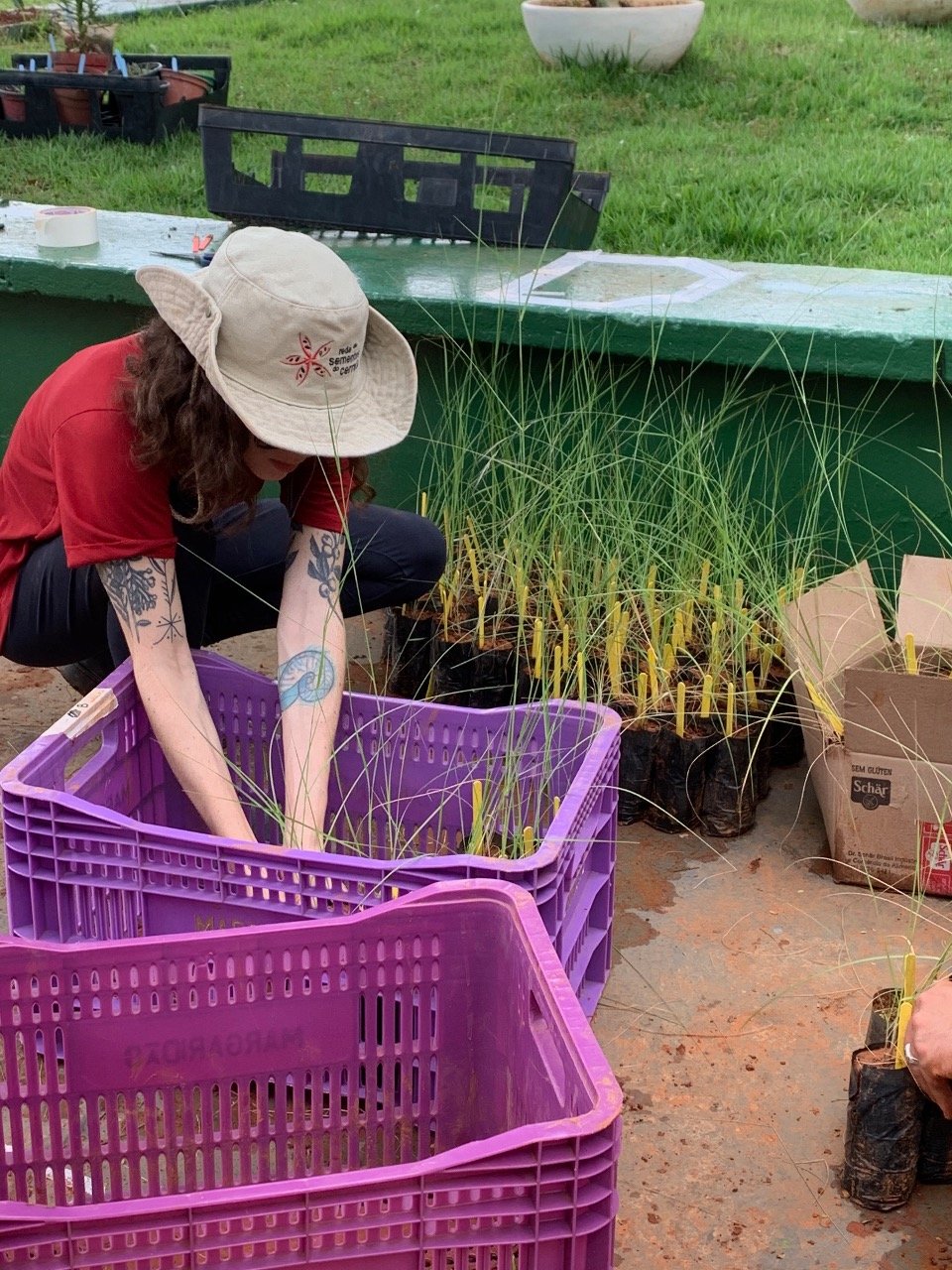 À época a proposta foi documentada pela  Roman Filmes e Jardins de Cerrado