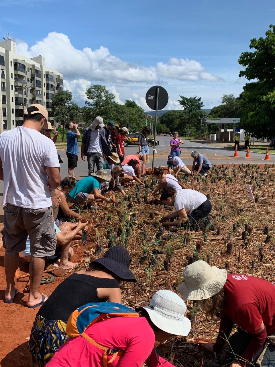 O projeto foi chamado de Jardim Piloto