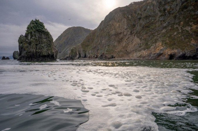 Uma autoridade russa disse que o mar na remota península de Kamchatka pode ter sido contaminado com produtos químicos tóxicos, já que o Greenpeace alertou sobre um Uma autoridade russa disse que o mar na remota península de Kamchatka pode ter sido contaminado com produtos químicos tóxicos, já que o Greenpeace alertou sobre um