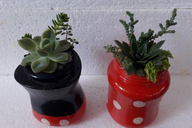 Suculentas e cactos em vasos personalizados e reciclados, da Preciosas Suculentas (R$ 15) 
