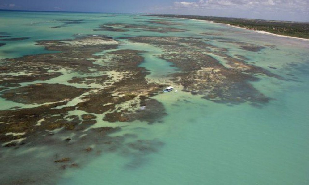 Aquecimento dos oceanos pode mudar recifes de corais, mostra estudo