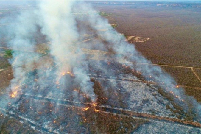  (crédito:  Andre pessoa)